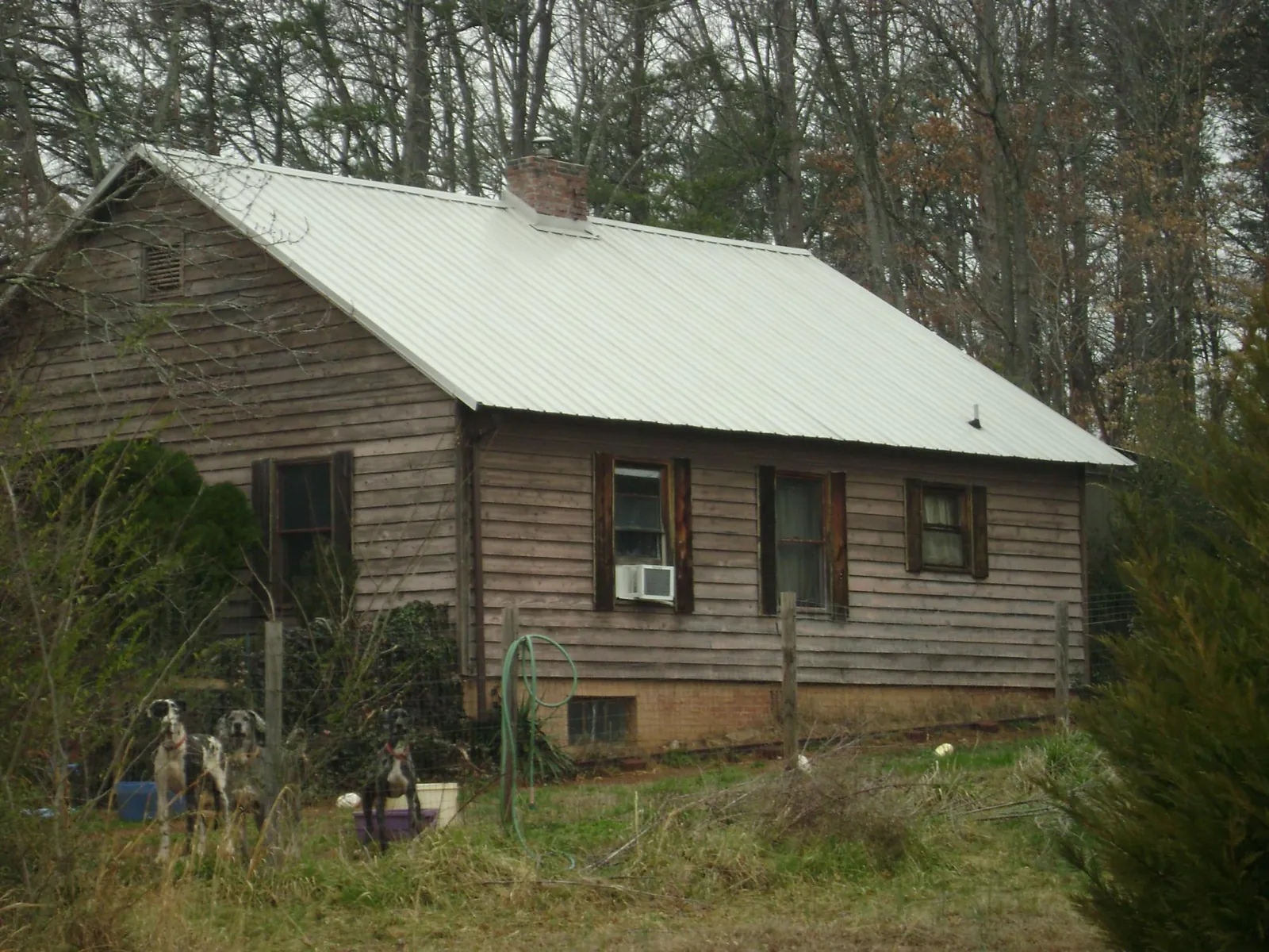 White metal roof on an old wood sided farmhouse, from a Asphalt Shingle Roof Repair job in Cooke City